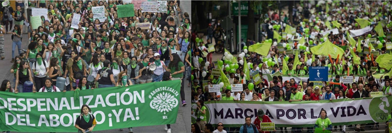 Aborto y Provida.