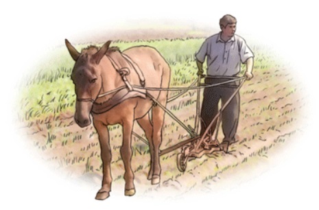 Agricultor.