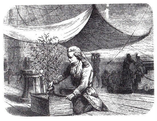 Gabriel-Mathieu Françoise de Clieu