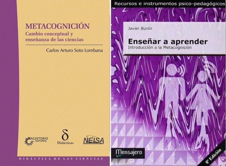 pedagogia y metacognicion