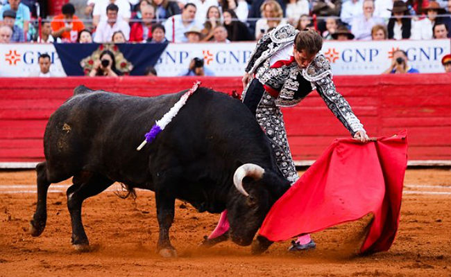 toro y arturo saldivar