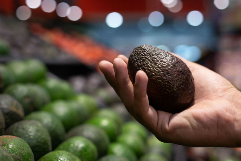 aguacate