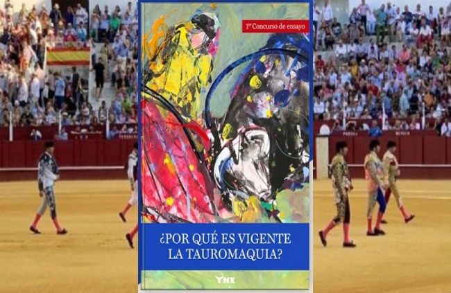 ensayo taurino