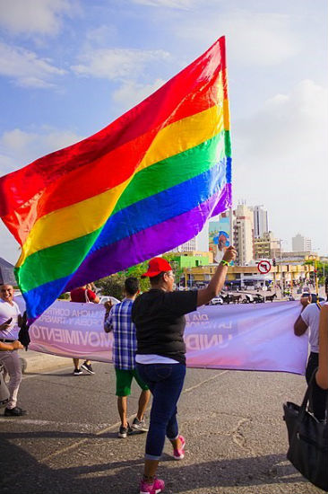 marcha gay
