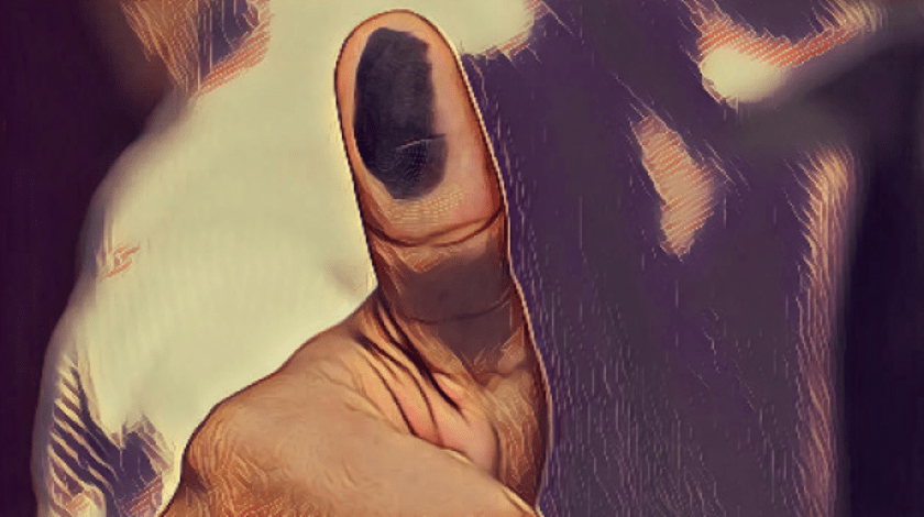 INE, constitucionalidad