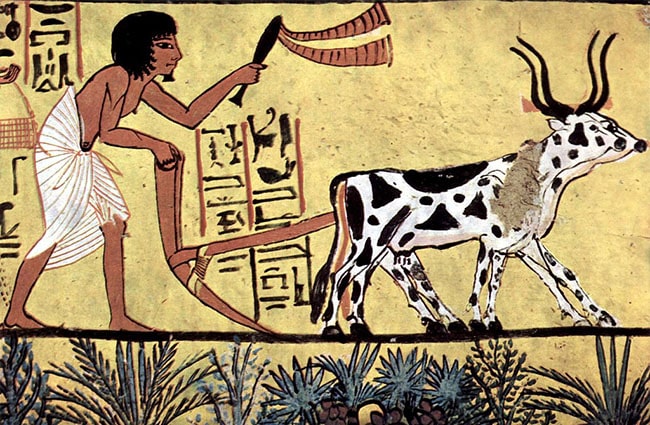 arado egipto