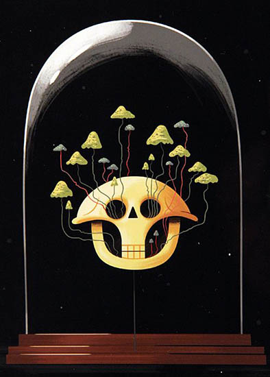 ciencia y curiosidad