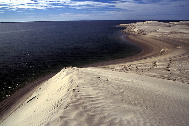 reserva vizcaino