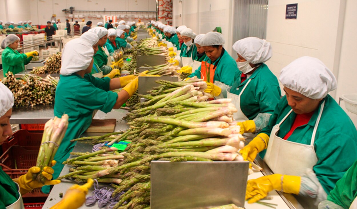 A pesar de pandemia, crecen exportaciones agroalimentarias en México