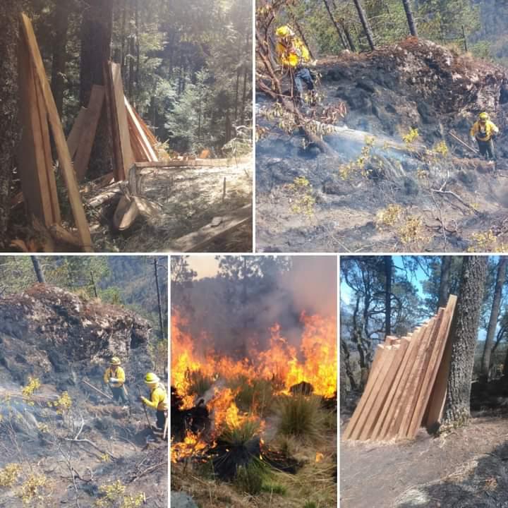 Un incendio que evidencia la importancia de una política ambientalista antes de que sea tarde
