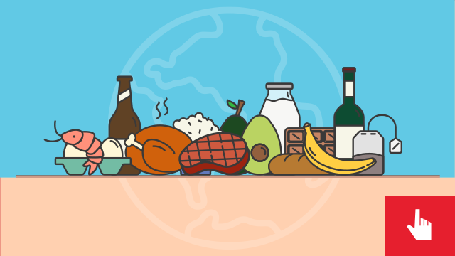 La vida de los animales merece el mismo respeto como cualquier otro ser vivo, a lo largo de los años se ha despreciado y maltratado a los animales quitándoles la dignidad como ser vivo por lo que urgen leyes que respeten sus vidas y promuevan sus derechos.