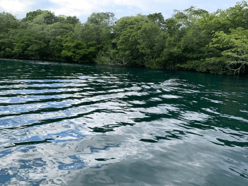cenote negro