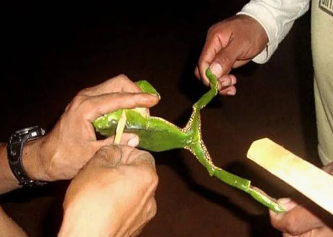 rituales de moda
