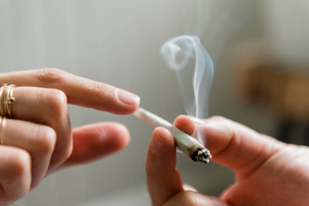 La legalización del , el nacimiento de una nueva mega industria 