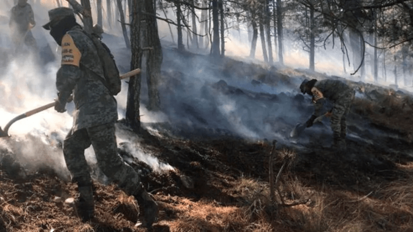 incendios forestales