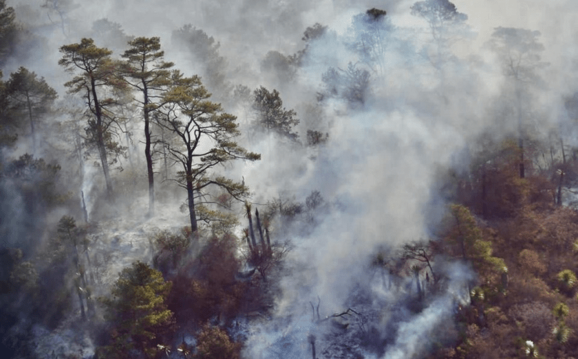 incendio forestal
