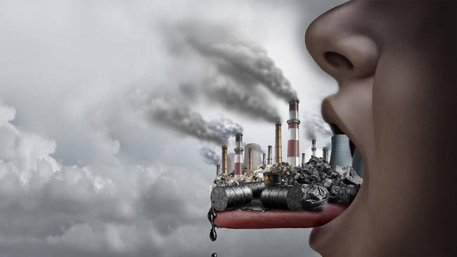 contaminacion obesidad