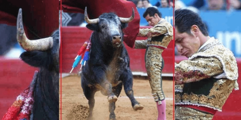 Uriel Moreno "El Zapata"