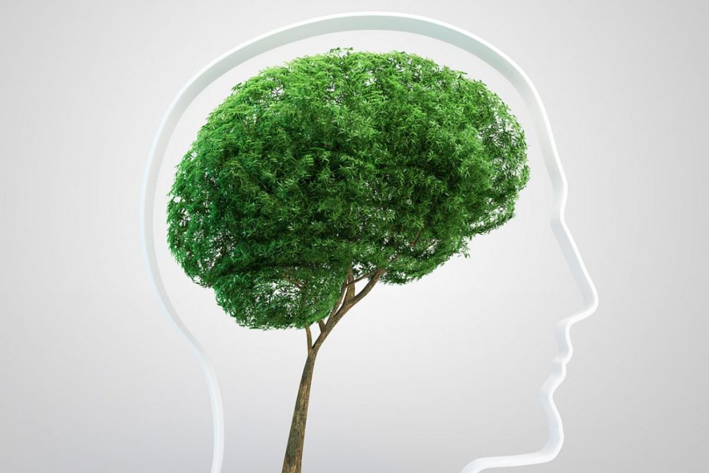 La crisis ambiental y migratoria, los problemas del presente y futuro de América