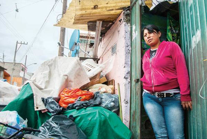 Basura la reno