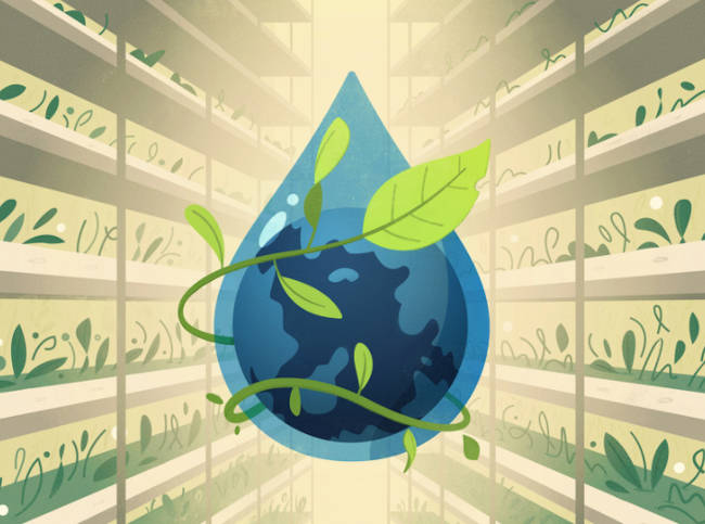 agua sustentable