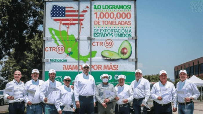 APEAM, aguacate