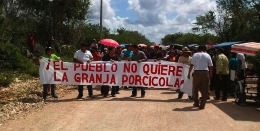 homún, manifiesto