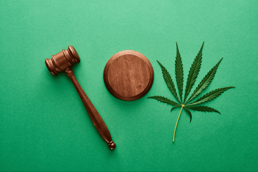 cannabis marihuana México