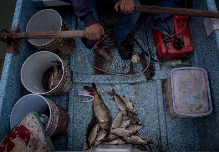 pesca ilegal