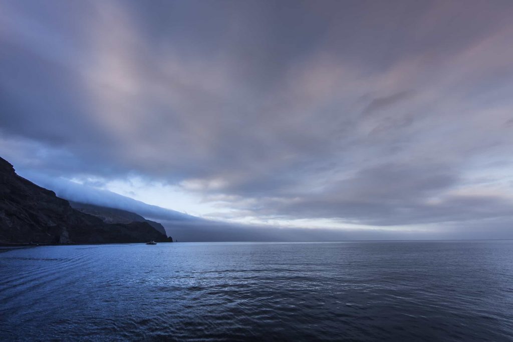 Isla Guadalupe
