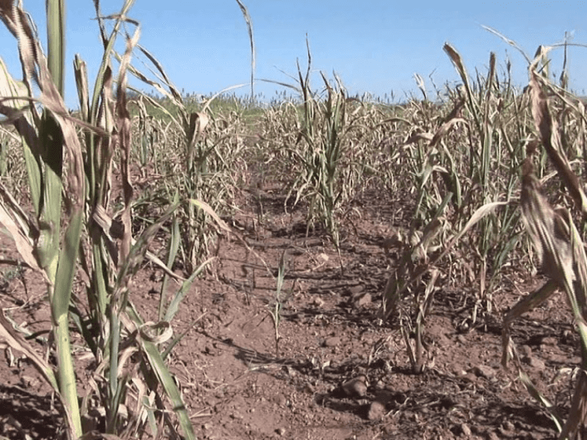 crisis en el campo