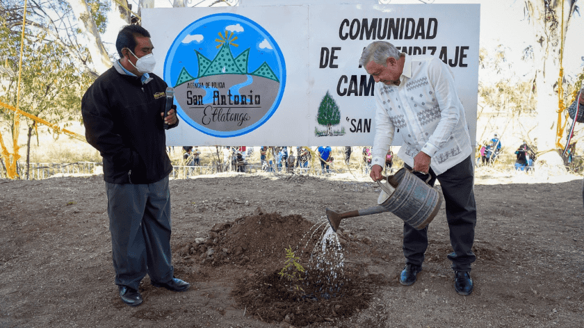AMLO Sembrando Vida