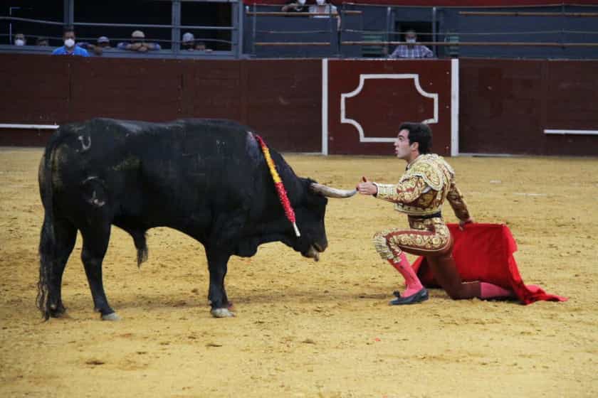 Tomás Rufo, toros