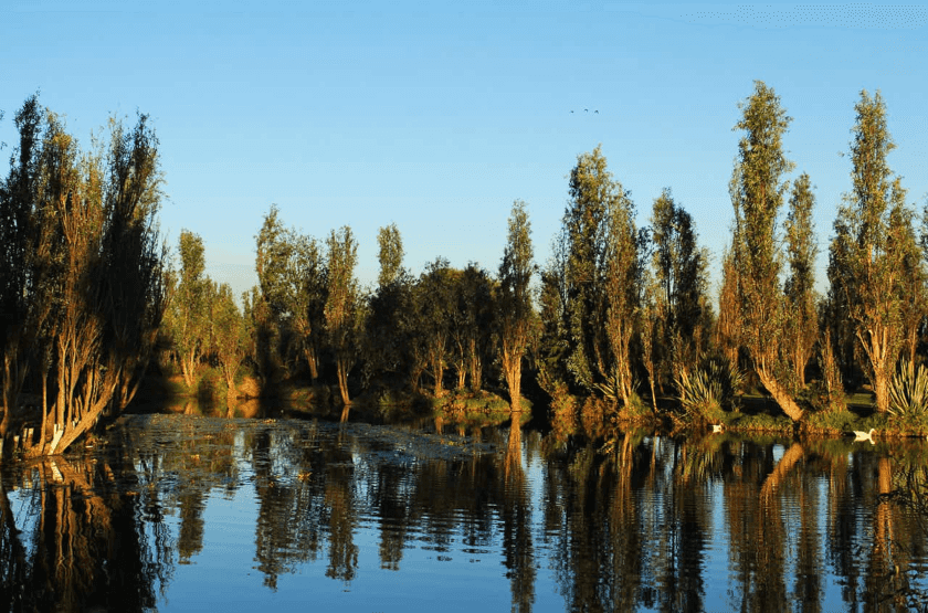 humedal Xochimilco