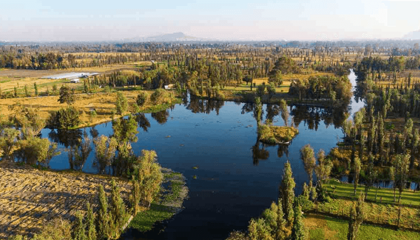 humedales Xochimilco
