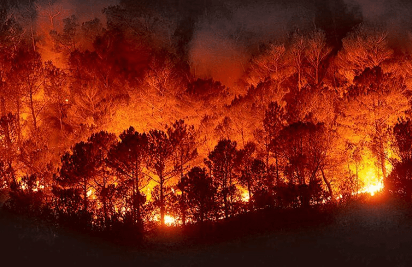 incendios cambio climatico