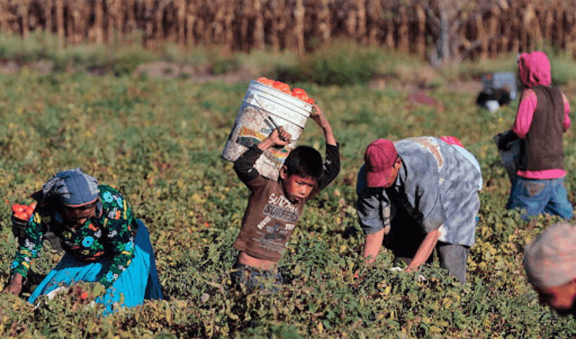 pobreza en el campo