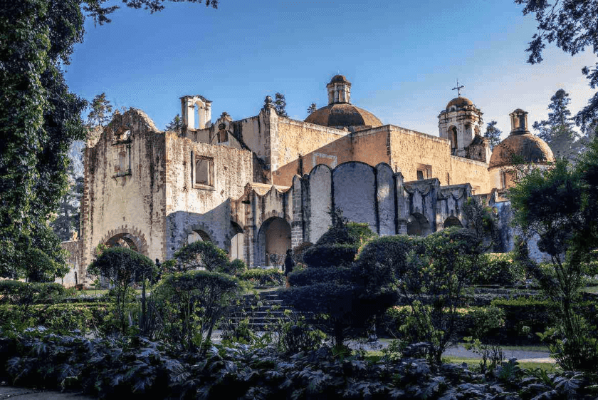 Bosque del Desierto de los Leones