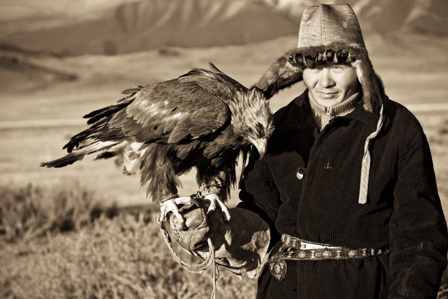 águila real, Mongolia, entrenamiento