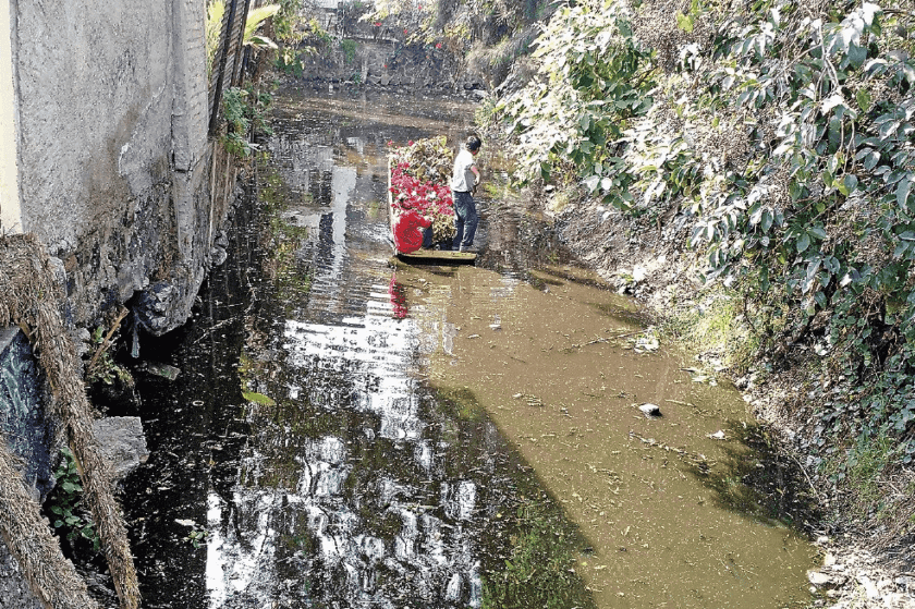 recuperar lagos México, conservación