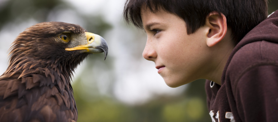 Vicente y un águila real