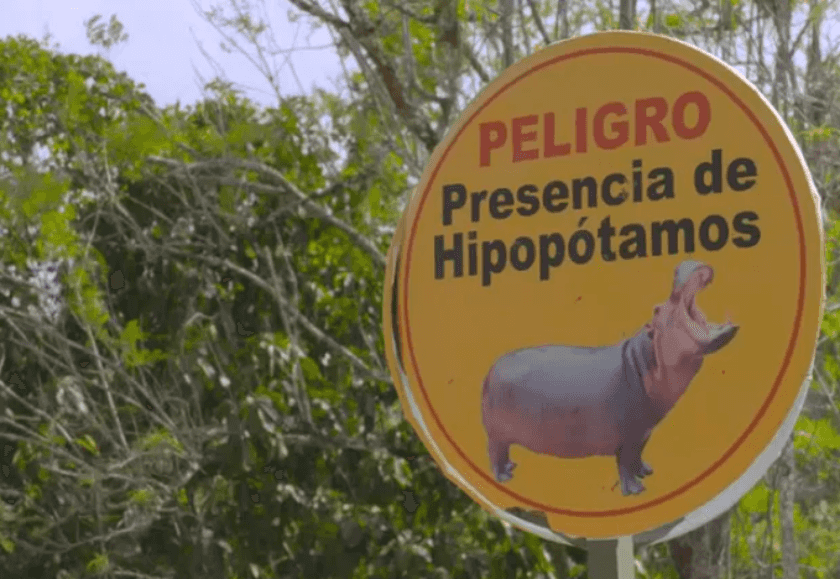 Anuncio Peligro presencia de hipopótamos