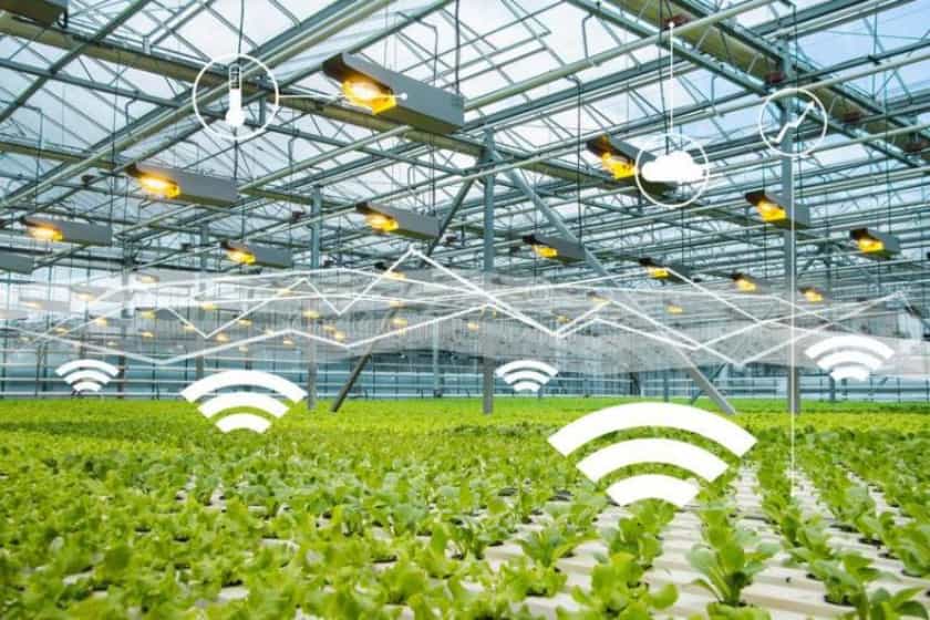 IA agriculture
