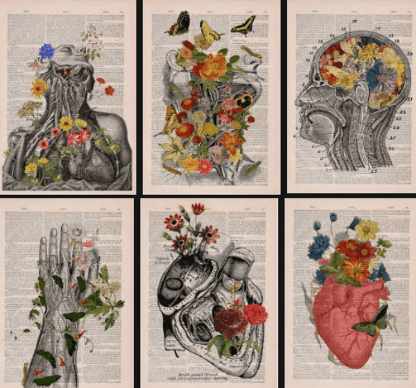 Literatura y medicina
