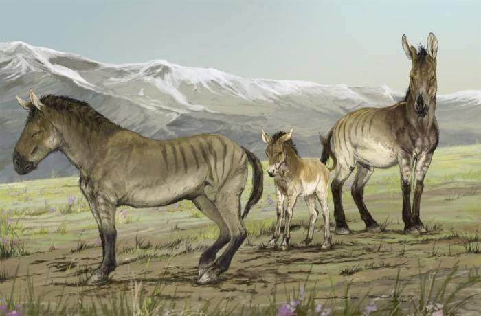 caballos prehistoricos mexicanos